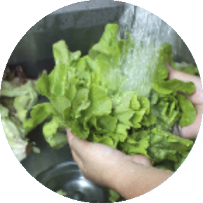 野菜が洗える