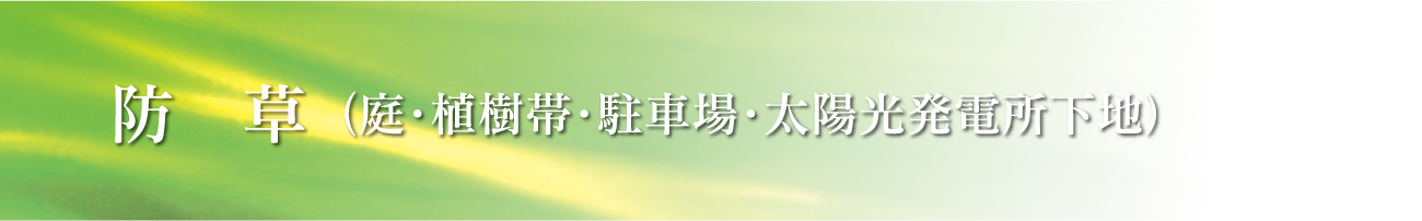 ATTAC工法(旧トース土工法)　防草