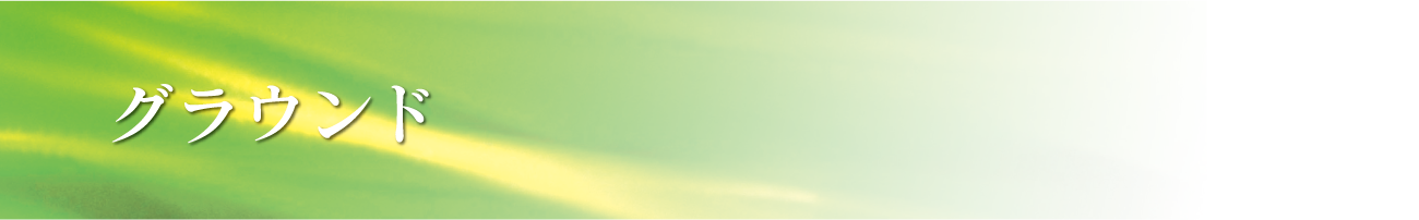 ATTAC工法(旧トース土工法)　グラウンド