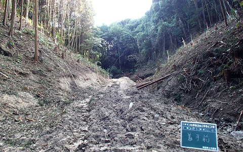 大佐野地区治山工事（谷止工２個）