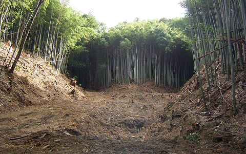 地域防災対策総合治山事業