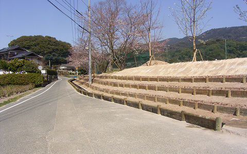歴史の散歩道環境整備工事