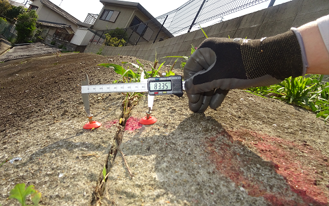 太宰府市某所　法面定期点検