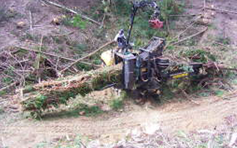 総合的複合型森林バイオマスエネルギー地産地消社会システムの構築