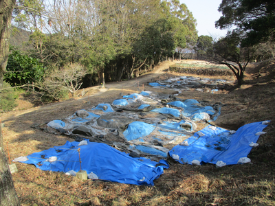 特別史跡大野城跡増長天地区整備工事